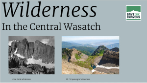 Central Wasatch Symposium Recap - Wilderness In The Central Wasatch