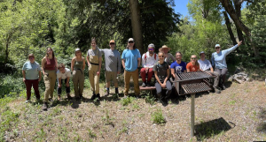 Volunteers removed Garlic Mustard from City Creek Canyon