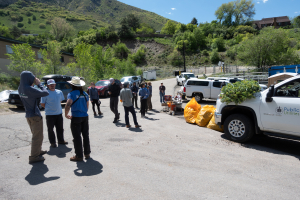 2025 Wasatch Stewardship Program - Myrtle Spurge weed pull with Salt Lake Public Utilities &amp; Volunteers