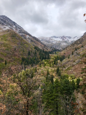 Millcreek Upper Canyon comment period open - submit your comment today!