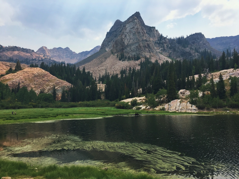 Save Our Canyons - Hiking Trails in Twin Peaks Wilderness