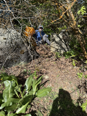 2025 Wasatch Stewardship Program - Garlic Mustard weed pull with Salt Lake Public Utilities &amp; Volunteers