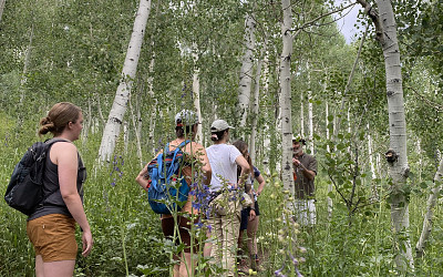 Wildflower Hike with Utah Native Plant Society
