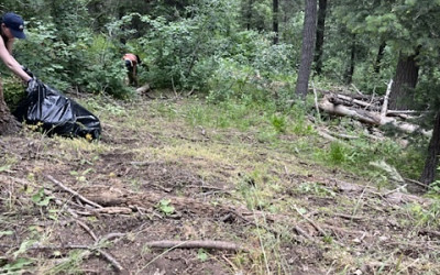 2024 Wasatch Stewardship Program - Killyon's Canyon Garlic Mustard Pull With Salt Lake County and Utah Open Lands