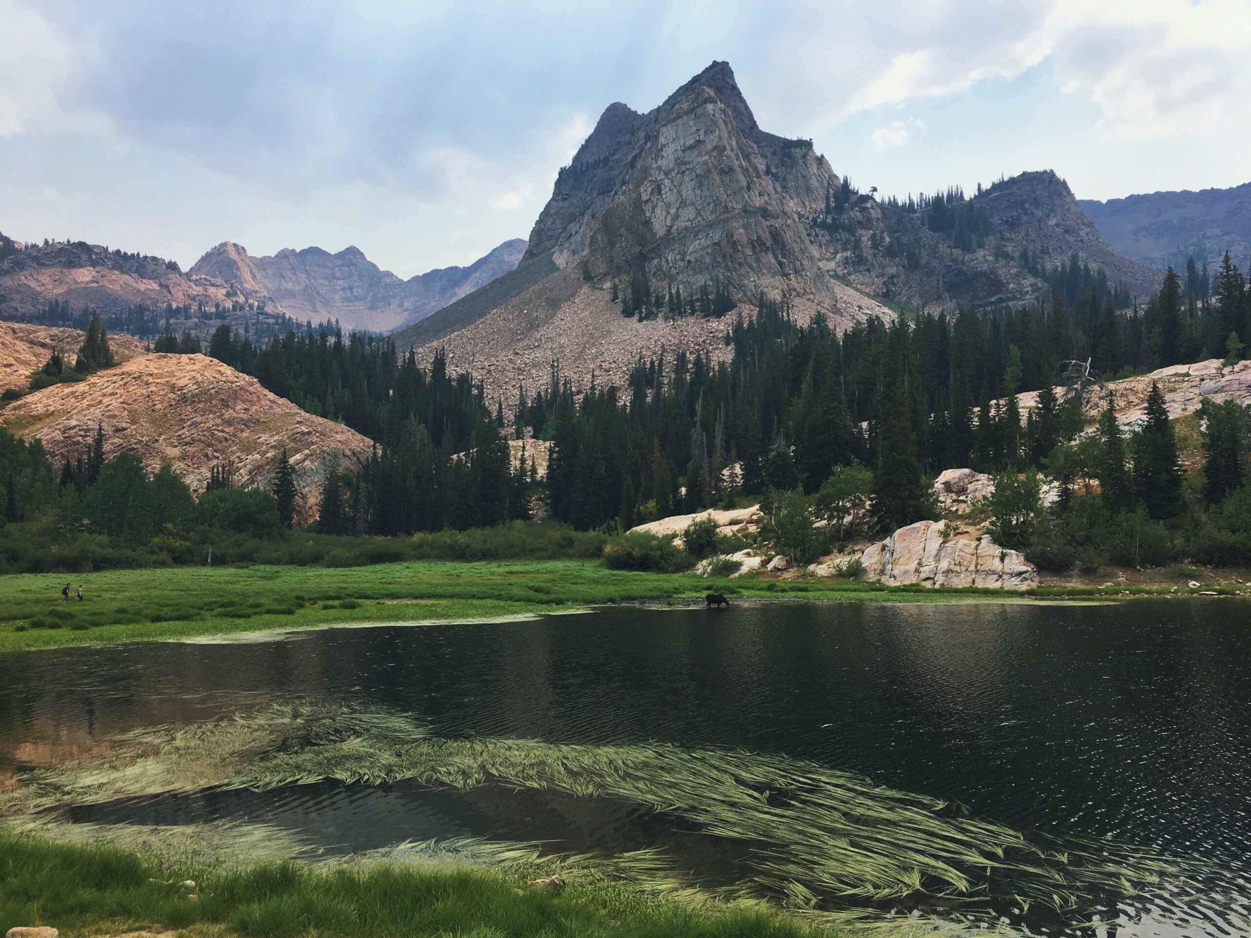 Hiking Trails in Twin Peaks Wilderness