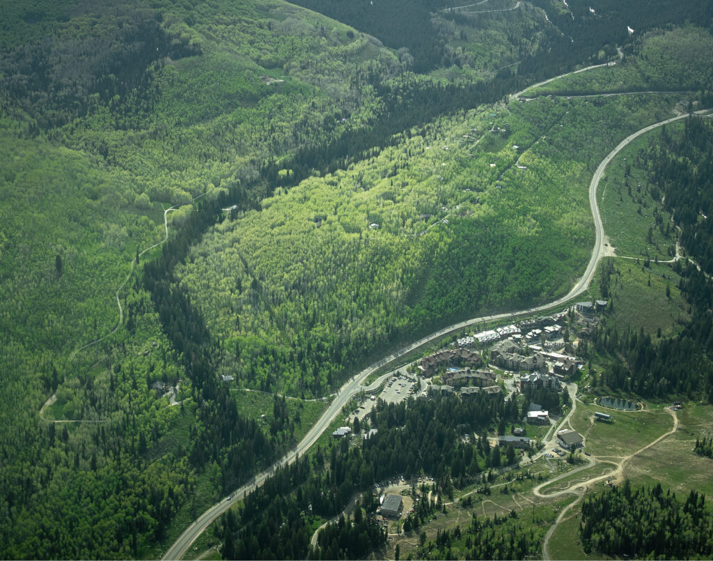 forested neighborhood in big cottonwood canyon town of brighton